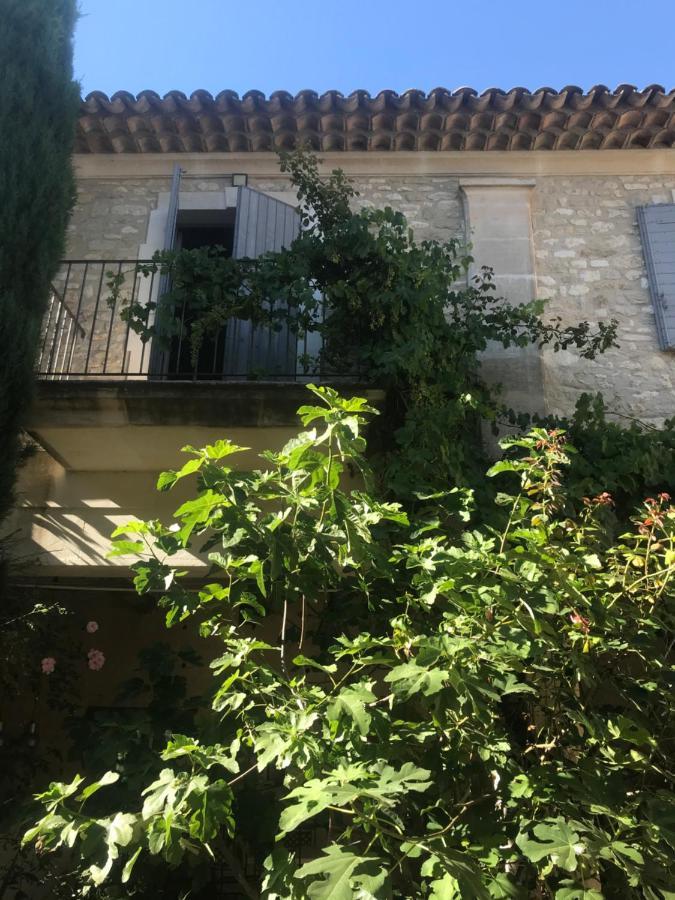 Le mas jasmins Ménerbes Extérieur photo